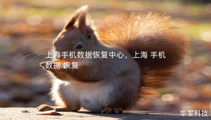 上海手机数据恢复中心,上海 手机 数据 恢复 上海手机数据恢复中心,上海 手机 数据 恢复