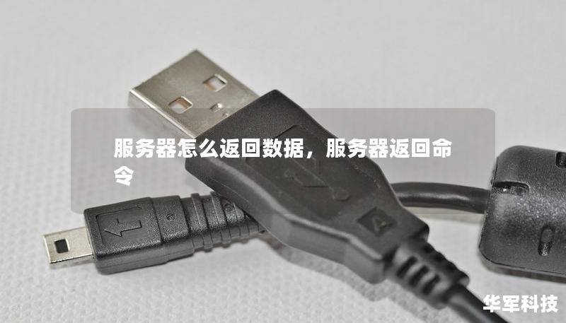 服务器怎么返回数据，服务器返回命令