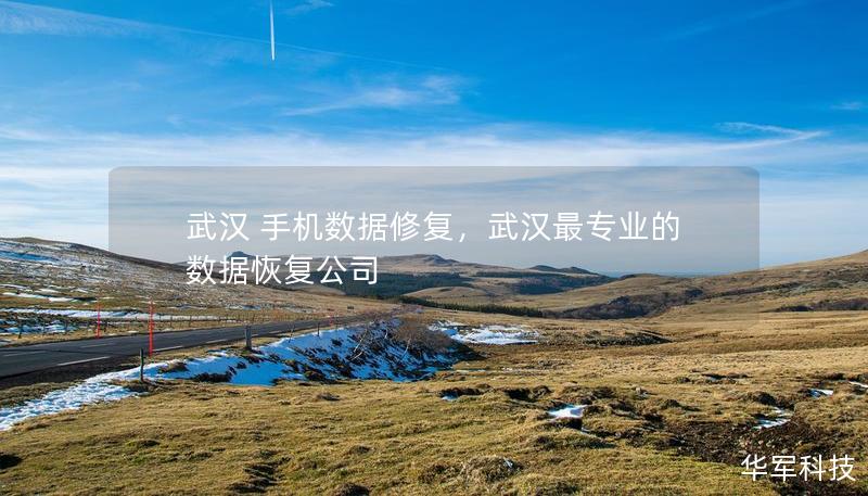 武汉 手机数据修复，武汉最专业的数据恢复公司