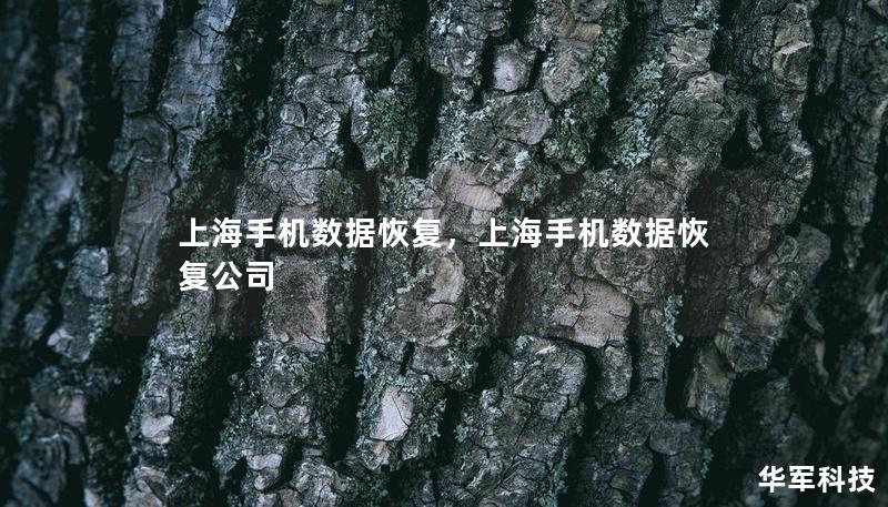 上海手机数据恢复,上海手机数据恢复公司 上海手机数据恢复,上海手机数据恢复公司