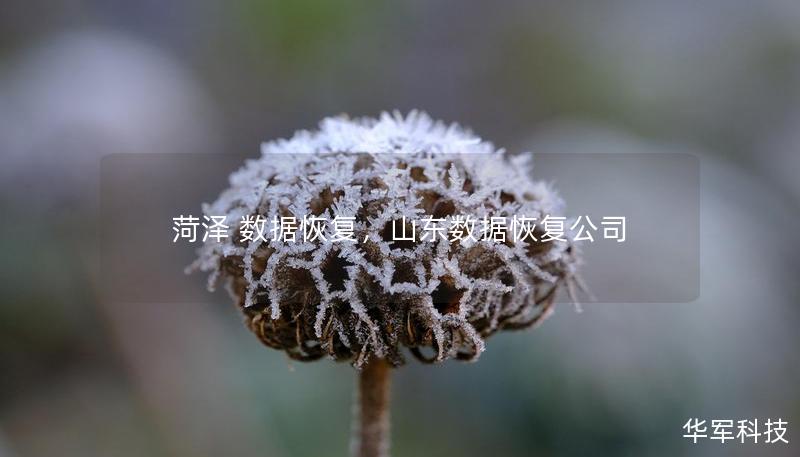 菏泽 数据恢复,山东数据恢复公司 菏泽 数据恢复,山东数据恢复公司
