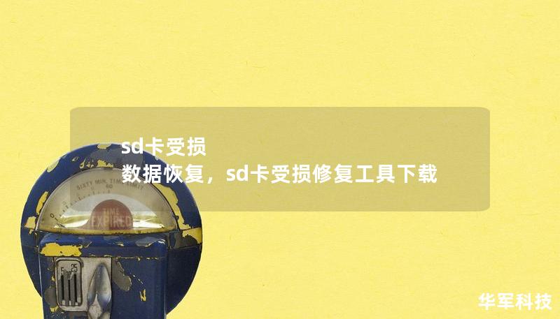 sd卡受损 数据恢复，sd卡受损修复工具下载