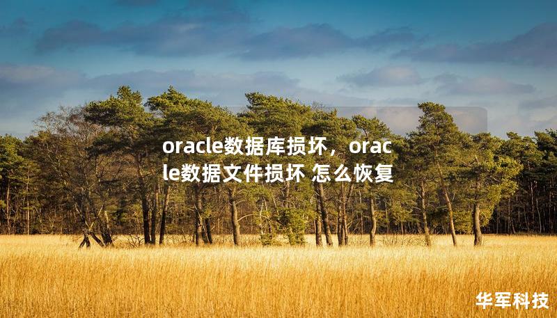 oracle数据库损坏，oracle数据文件损坏 怎么恢复