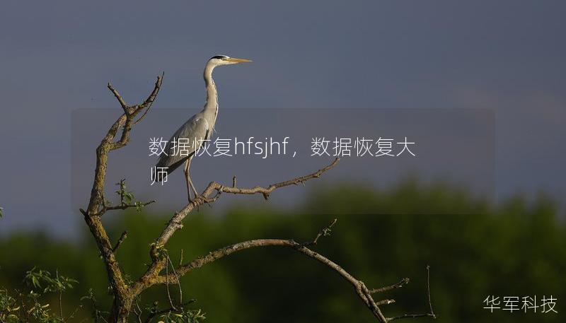 数据恢复hfsjhf,数据恢复大师 数据恢复hfsjhf,数据恢复大师
