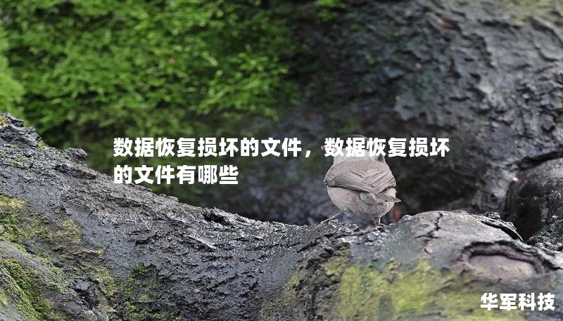 数据恢复损坏的文件,数据恢复损坏的文件有哪些 数据恢复损坏的文件,数据恢复损坏的文件有哪些