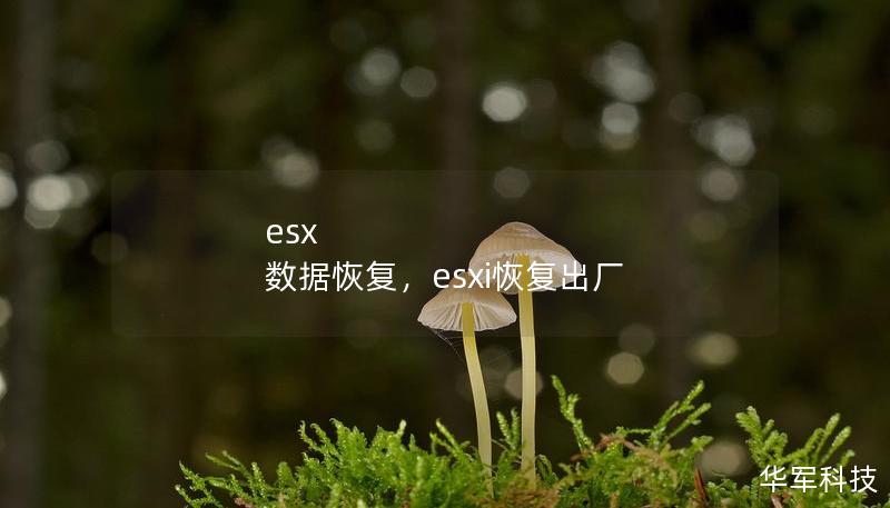 esx 数据恢复，esxi恢复出厂