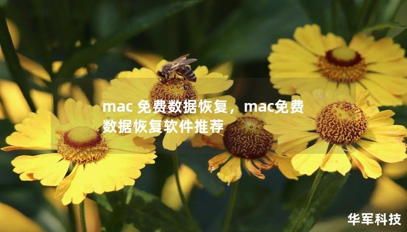 mac 免费数据恢复，mac免费数据恢复软件推荐