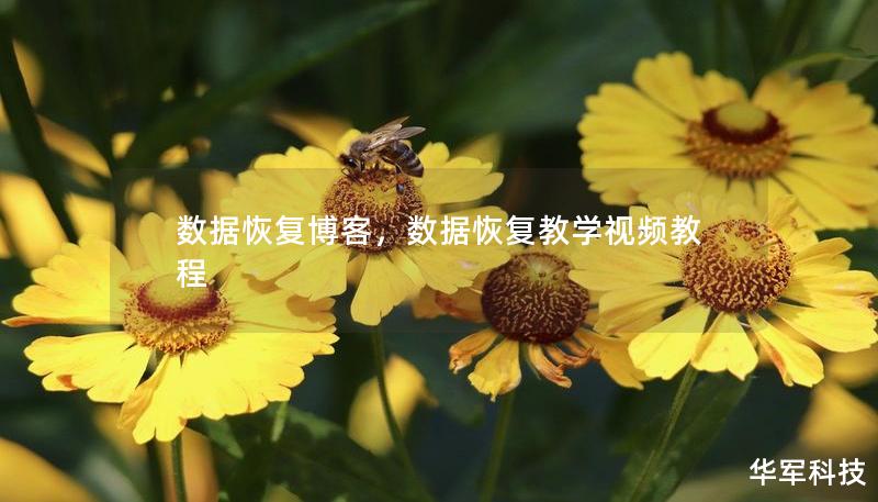 数据恢复博客，数据恢复教学视频教程