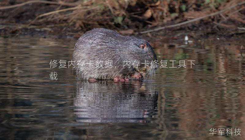 修复内存卡数据，内存卡修复工具下载