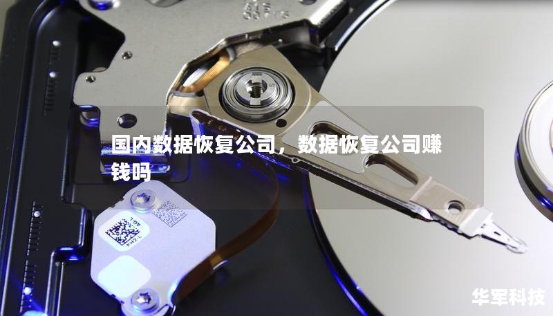 国内数据恢复公司，数据恢复公司赚钱吗