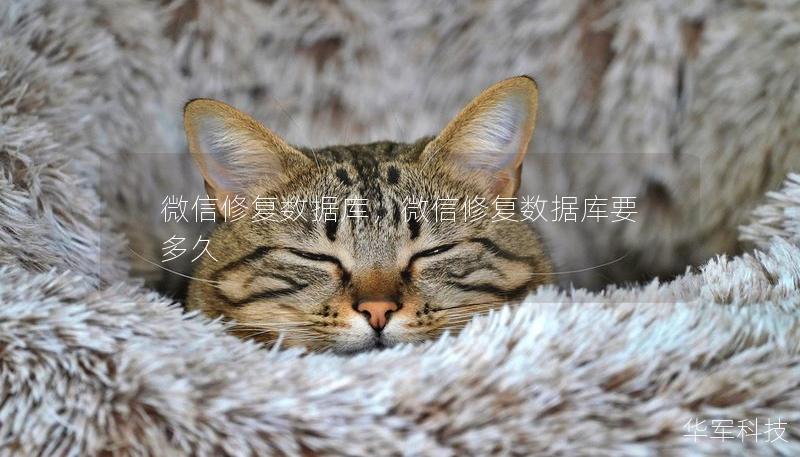 微信修复数据库,微信修复数据库要多久 微信修复数据库,微信修复数据库要多久