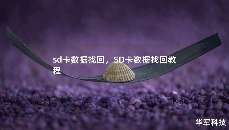 sd卡数据找回，SD卡数据找回教程