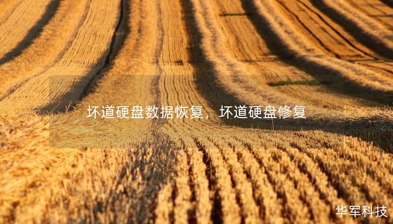 坏道硬盘数据恢复,坏道硬盘修复 坏道硬盘数据恢复,坏道硬盘修复