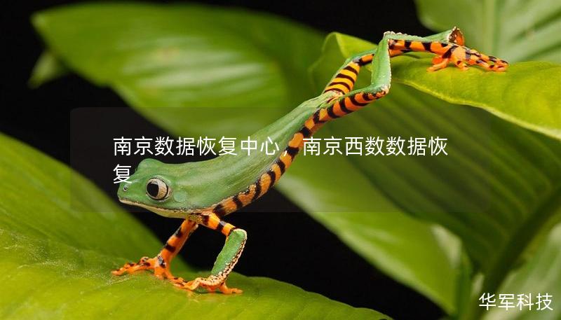 南京数据恢复中心,南京西数数据恢复 南京数据恢复中心,南京西数数据恢复
