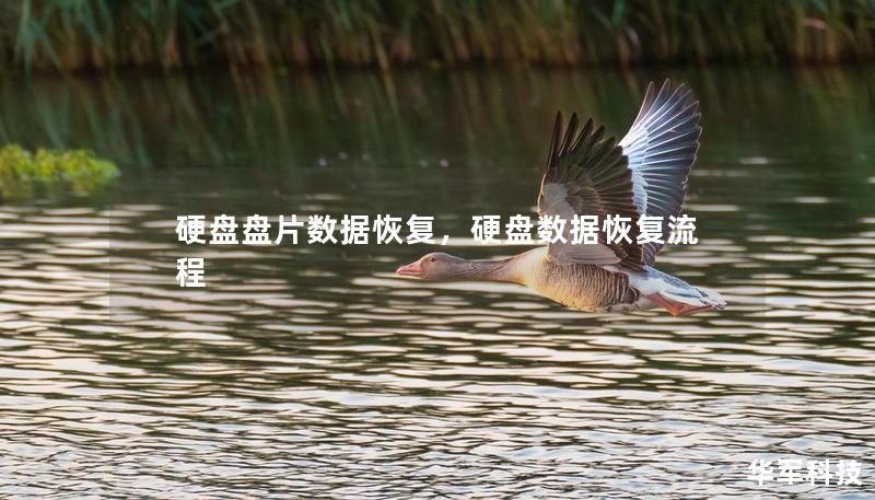 硬盘盘片数据恢复,硬盘数据恢复流程 硬盘盘片数据恢复,硬盘数据恢复流程