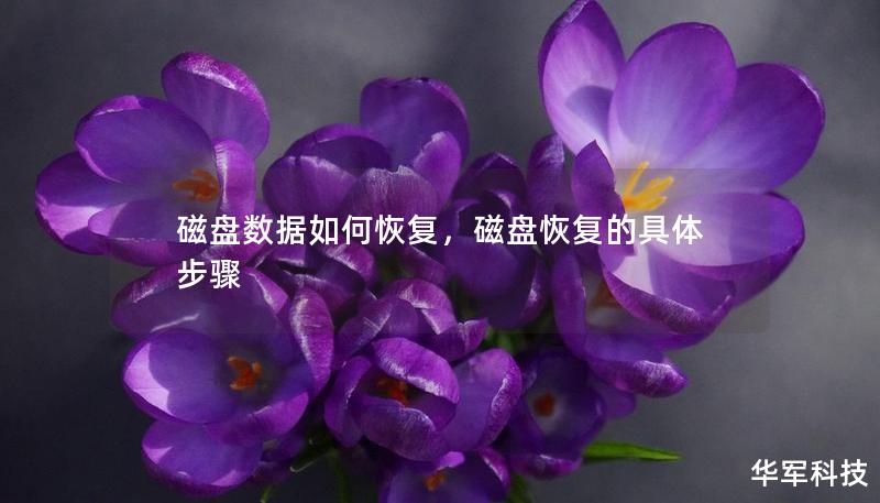磁盘数据如何恢复，磁盘恢复的具体步骤