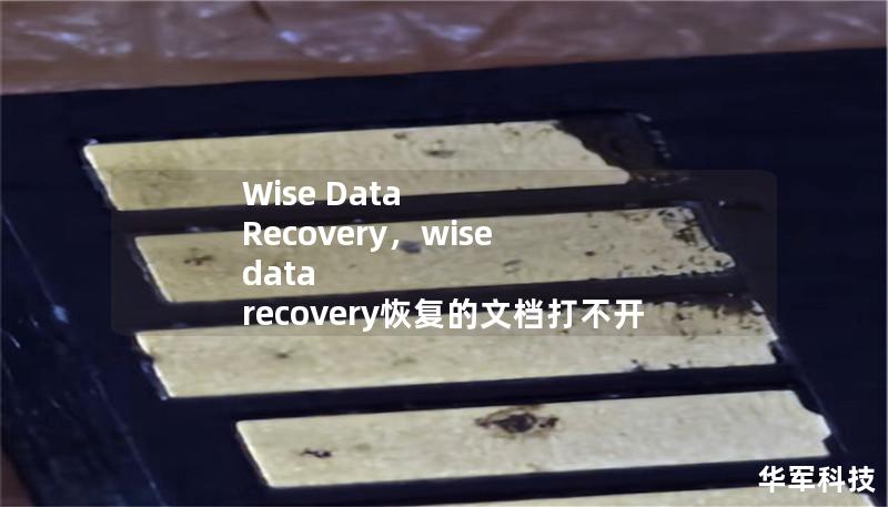 Wise Data Recovery，wise data recovery恢复的文档打不开