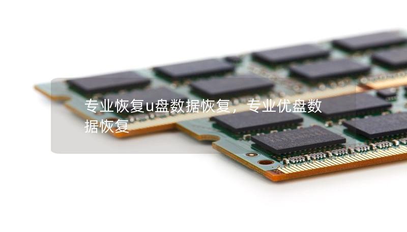 专业恢复u盘数据恢复，专业优盘数据恢复