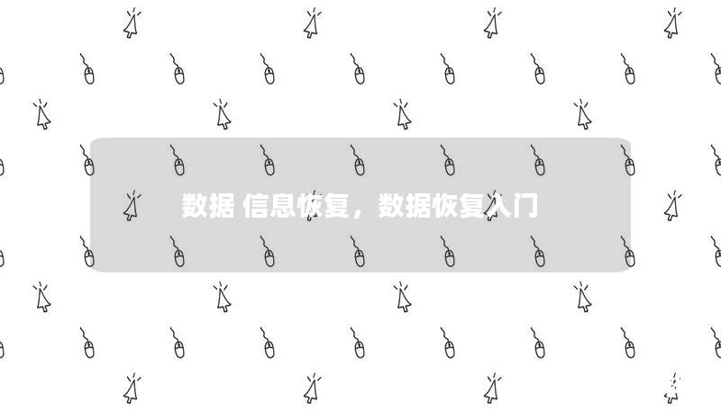 数据 信息恢复，数据恢复入门
