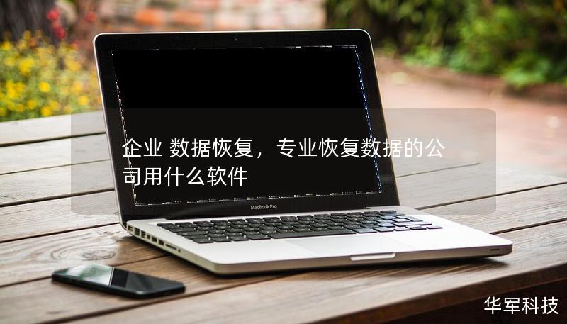 企业 数据恢复，专业恢复数据的公司用什么软件