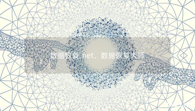 数据恢复.net，数据恢复大师