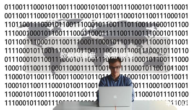 数据恢复盘,数据 恢复 数据恢复盘,数据 恢复