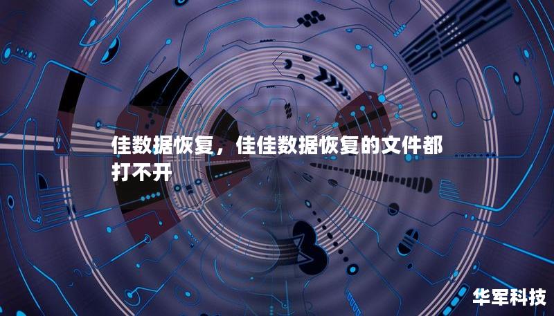 佳数据恢复，佳佳数据恢复的文件都打不开