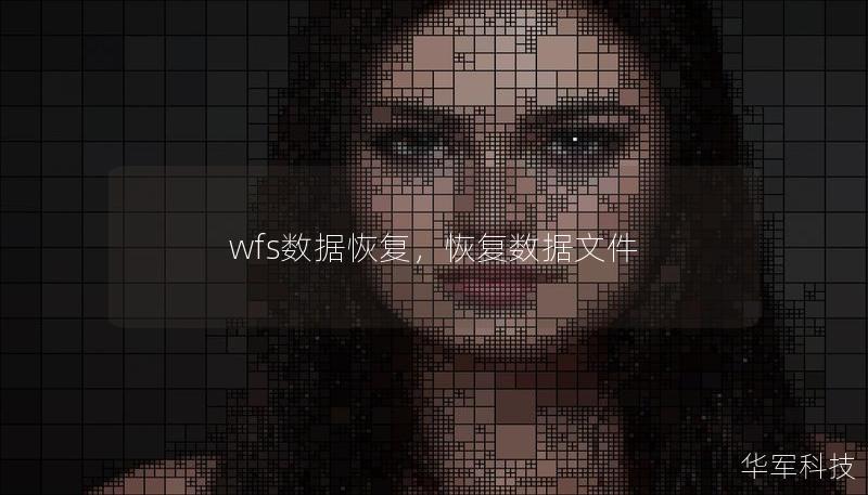 wfs数据恢复，恢复数据文件