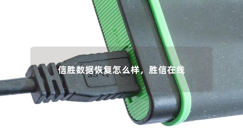 信胜数据恢复怎么样，胜信在线