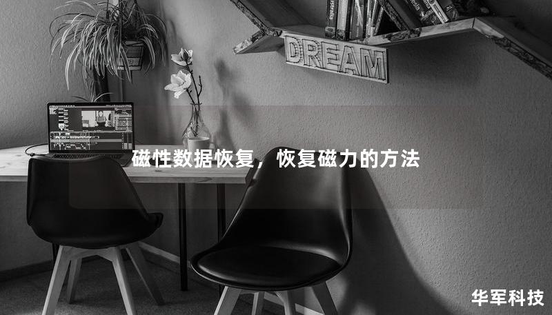 磁性数据恢复，恢复磁力的方法