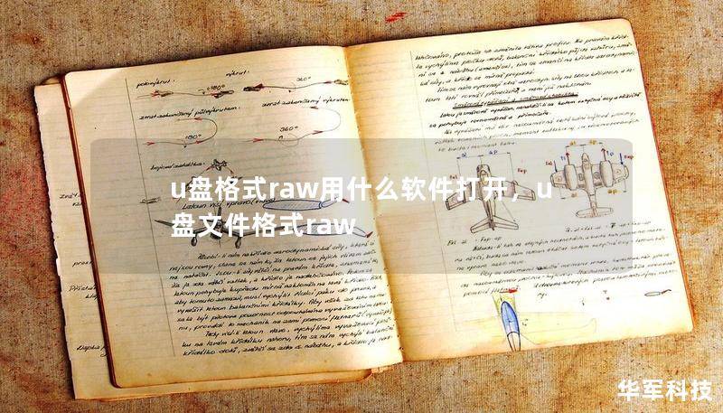 u盘格式raw用什么软件打开,u盘文件格式raw u盘格式raw用什么软件打开,u盘文件格式raw