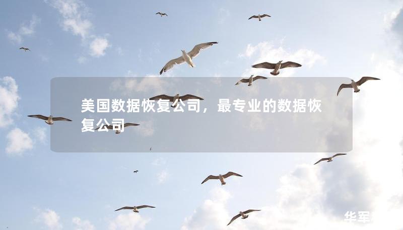 美国数据恢复公司,最专业的数据恢复公司 美国数据恢复公司,最专业的数据恢复公司