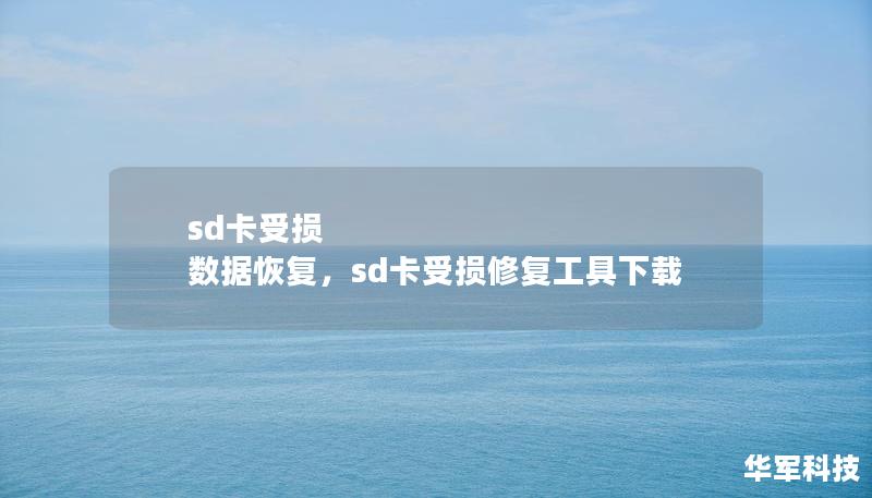 sd卡受损 数据恢复，sd卡受损修复工具下载
