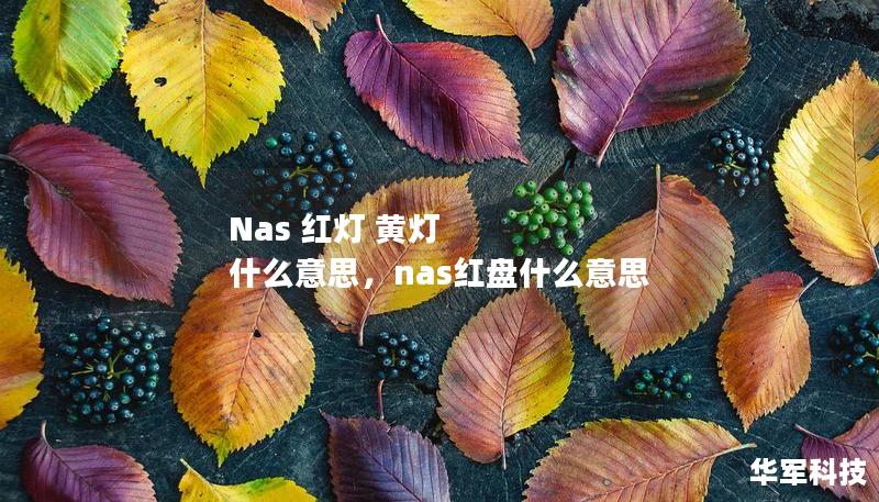 Nas 红灯 黄灯 什么意思,nas红盘什么意思 Nas 红灯 黄灯 什么意思,nas红盘什么意思