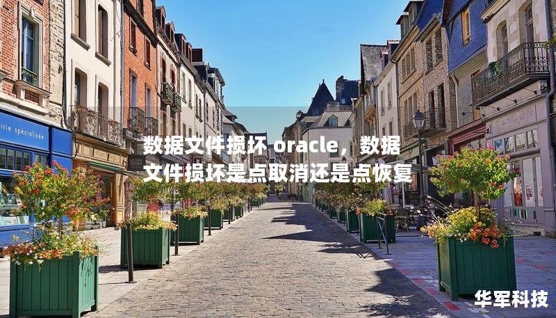 数据文件损坏 oracle，数据文件损坏是点取消还是点恢复