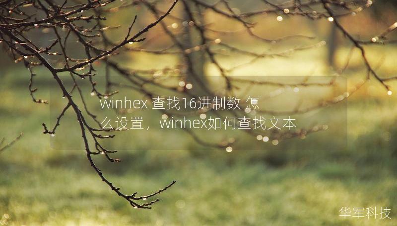 winhex 查找16进制数 怎么设置，winhex如何查找文本