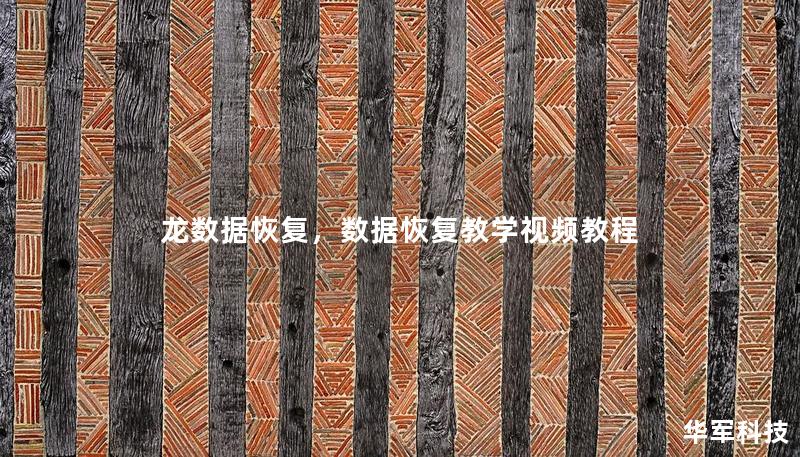 龙数据恢复,数据恢复教学视频教程 龙数据恢复,数据恢复教学视频教程