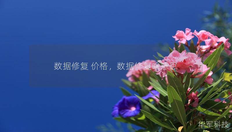 数据修复 价格,数据修复啥意思 数据修复 价格,数据修复啥意思