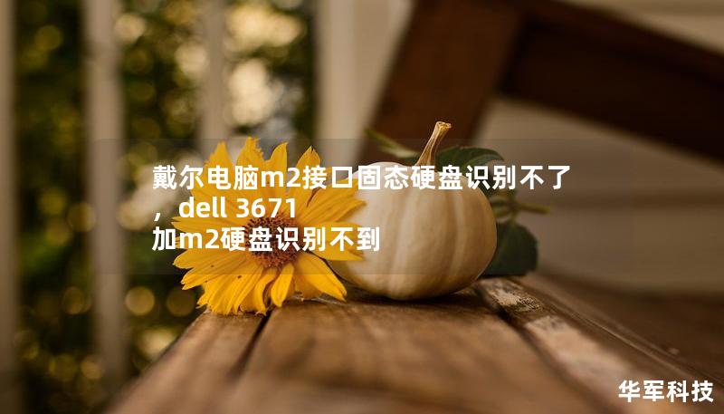 戴尔电脑m2接口固态硬盘识别不了,dell 3671 加m2硬盘识别不到 戴尔电脑m2接口固态硬盘识别不了,dell 3671 加m2硬盘识别不到