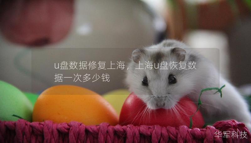 u盘数据修复上海,上海u盘恢复数据一次多少钱 u盘数据修复上海,上海u盘恢复数据一次多少钱
