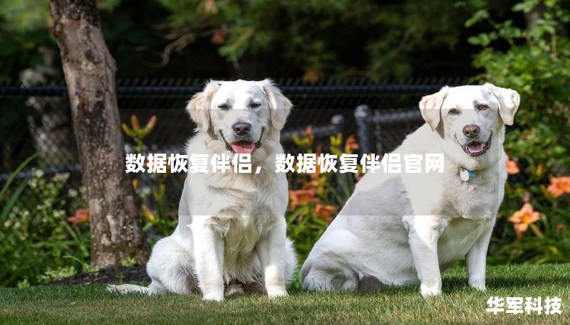 数据恢复伴侣，数据恢复伴侣官网