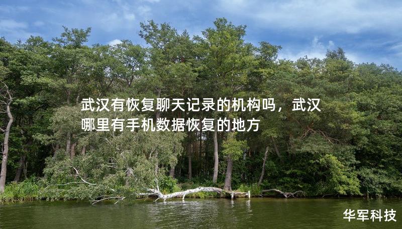 武汉有恢复聊天记录的机构吗，武汉哪里有手机数据恢复的地方