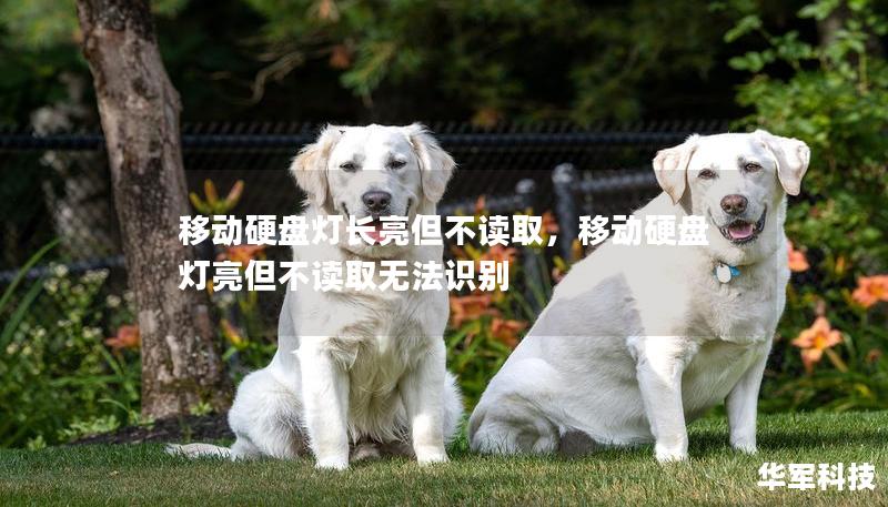 移动硬盘灯长亮但不读取,移动硬盘灯亮但不读取无法识别 移动硬盘灯长亮但不读取,移动硬盘灯亮但不读取无法识别