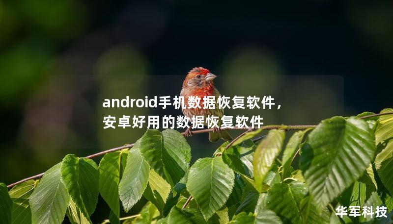 android手机数据恢复软件,安卓好用的数据恢复软件 android手机数据恢复软件,安卓好用的数据恢复软件