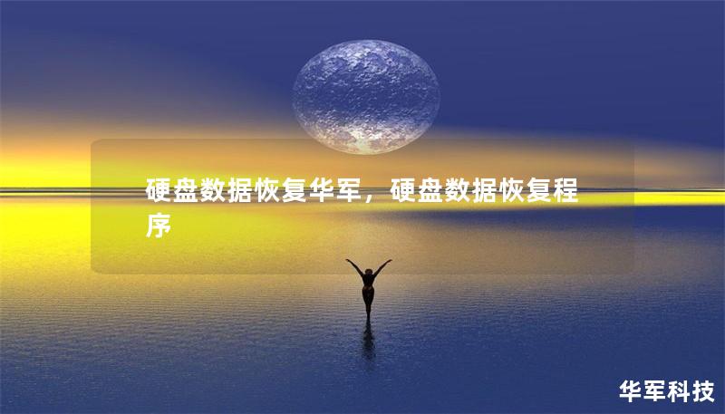 硬盘数据恢复技王，硬盘数据恢复程序