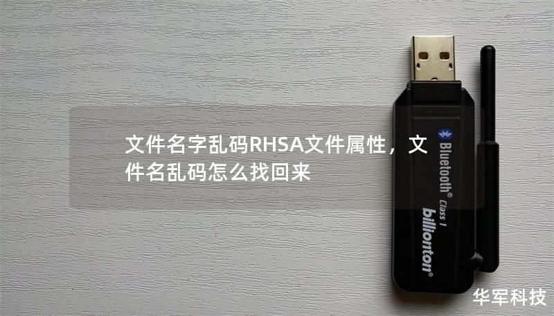 文件名字乱码RHSA文件属性，文件名乱码怎么找回来