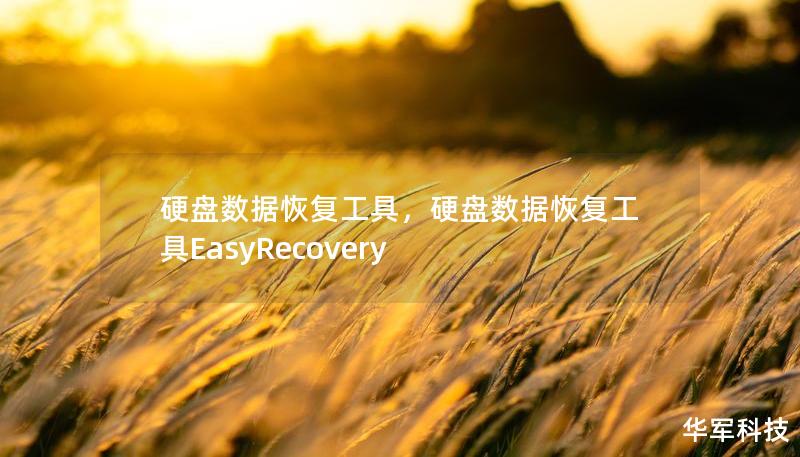 硬盘数据恢复工具，硬盘数据恢复工具EasyRecovery