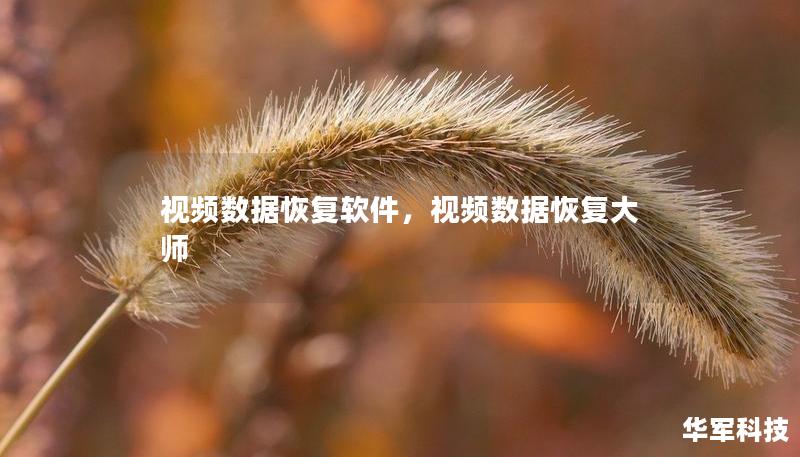 视频数据恢复软件，视频数据恢复大师