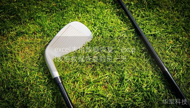 excel表格数据恢复,excel表格数据恢复到前一天 excel表格数据恢复,excel表格数据恢复到前一天