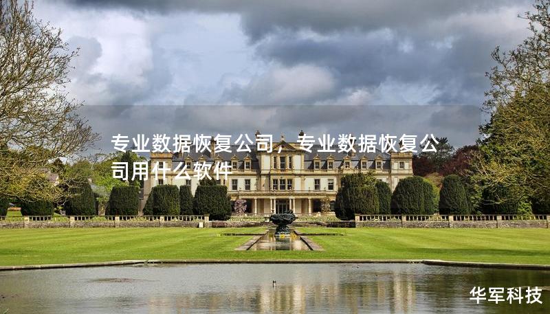 专业数据恢复公司，专业数据恢复公司用什么软件